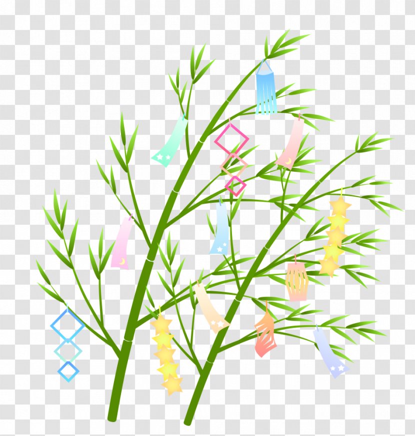 Tanabata - Flower - Seitai Transparent PNG