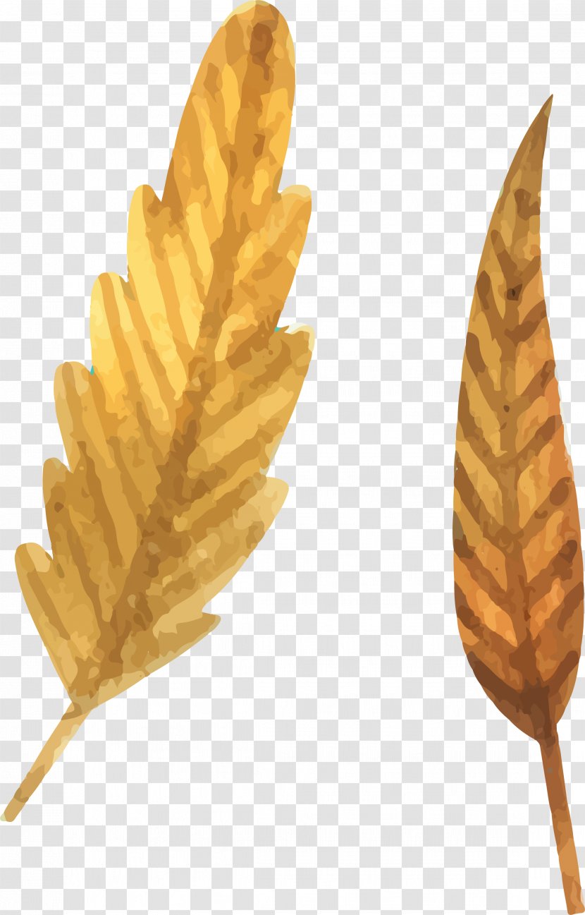 Leaf Drawing - Designer - Cartoon Hand Painted Fallen Leaves Transparent PNG