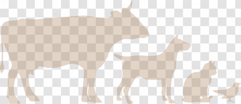 Cattle Deer Goat Sheep Dog - Dairy Farm Transparent PNG