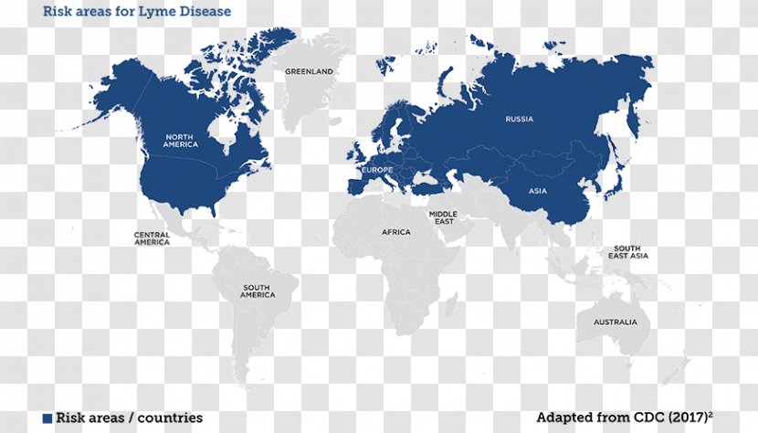 World Map Globe Vector Graphics - Royaltyfree - Skin Rash Circle Shape Transparent PNG