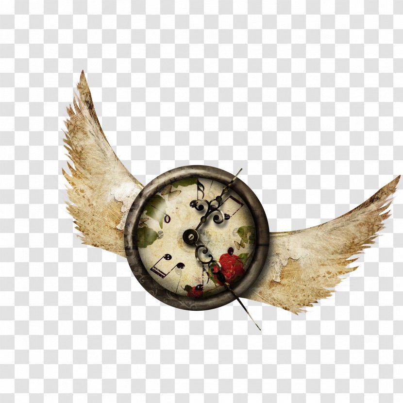 Cuckoo Clock Designer Clip Art - Shutterstock - Bell Transparent PNG