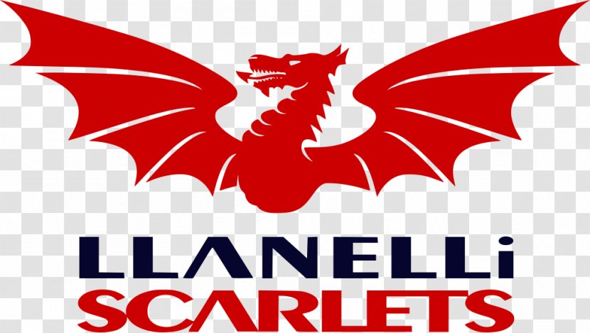 Parc Y Scarlets Guinness PRO14 European Rugby Champions Cup Llanelli RFC - Dragons Transparent PNG