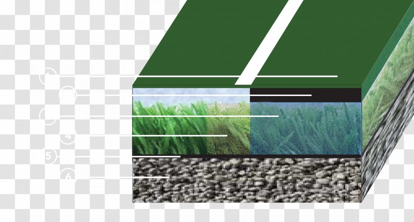 Roof Daylighting Grasses Angle Family - Grass Transparent PNG