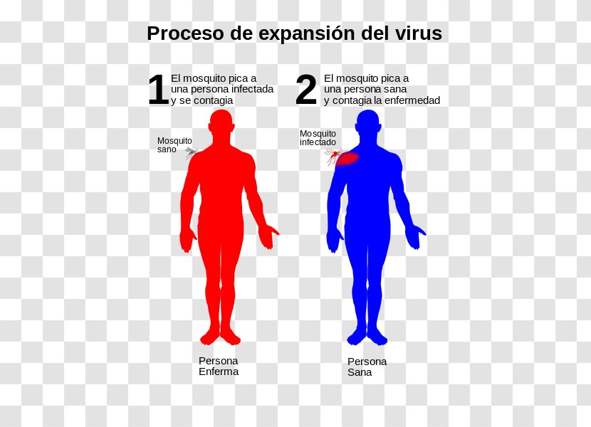 Dengue Virus Infection Infectious Disease - Tree Transparent PNG