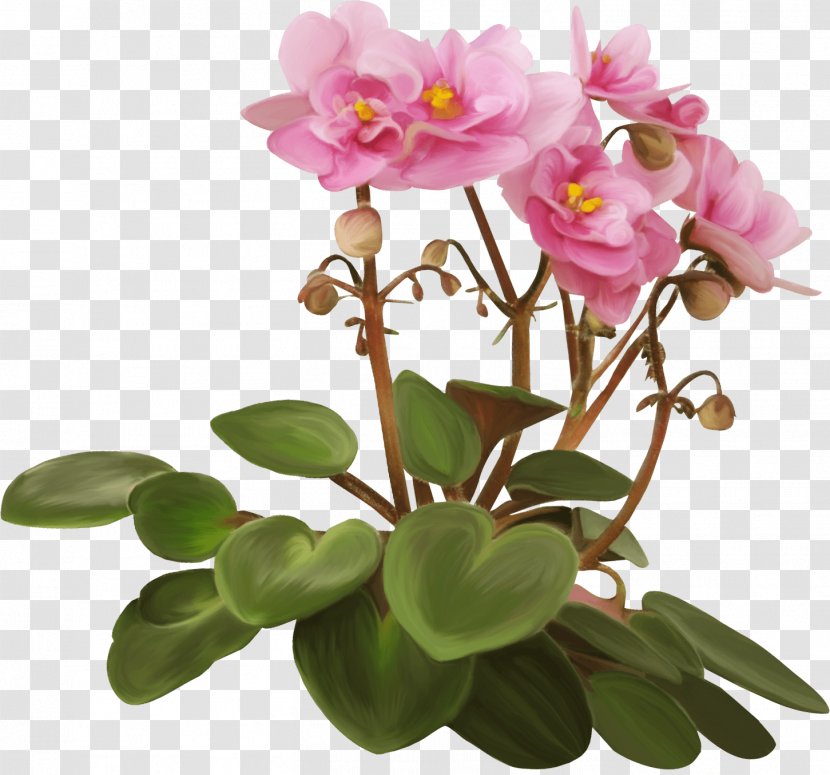 Flowerpot Violet Houseplant - Petal - Kartikeya Transparent PNG