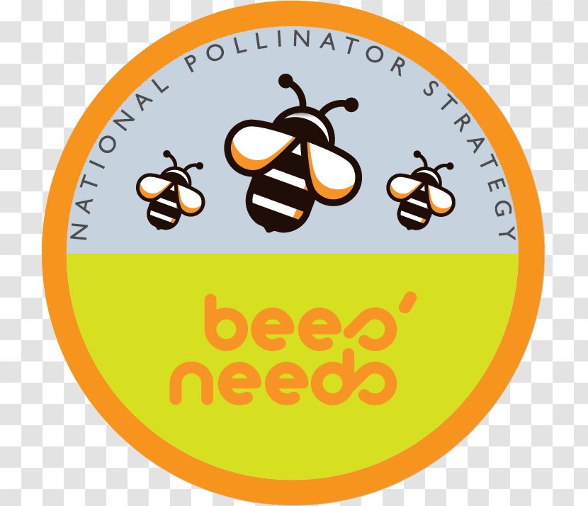 Information Bee Ireland Countryside Stewardship Scheme Insect - Area Transparent PNG