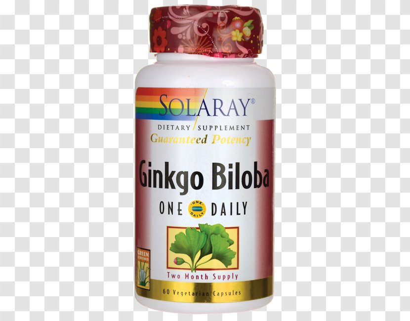 Dietary Supplement Ginkgo Biloba Extract Capsule Flavor - Ginkgo-biloba Transparent PNG