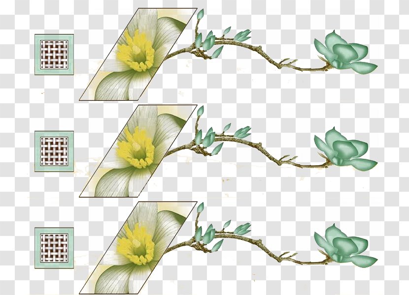 Quadrilateral Green Square - Leaf - Box Flowers Ah Transparent PNG
