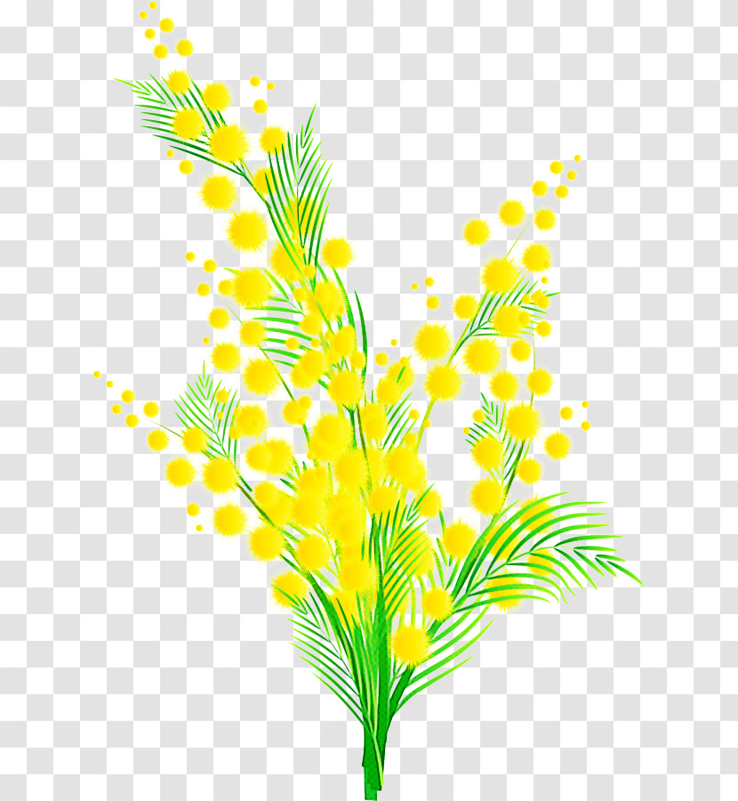 Yellow Leaf Plant Grass Flower Transparent PNG