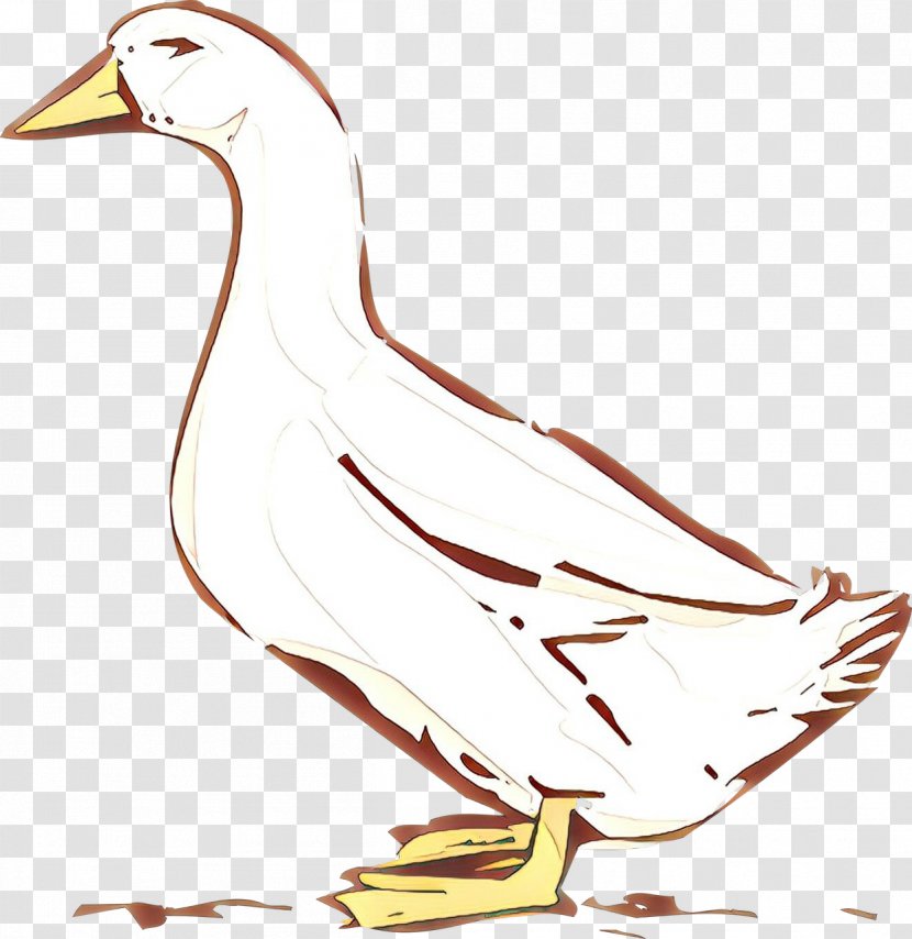 Bird Beak Water Duck Goose - Wildlife - Tail Transparent PNG