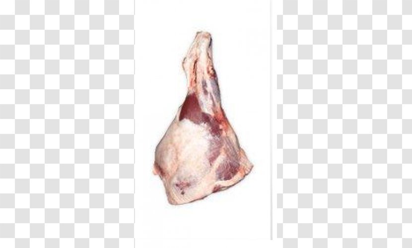 Bayonne Ham Pig's Ear Lamb And Mutton Goat - Watercolor - Beef Offals Transparent PNG