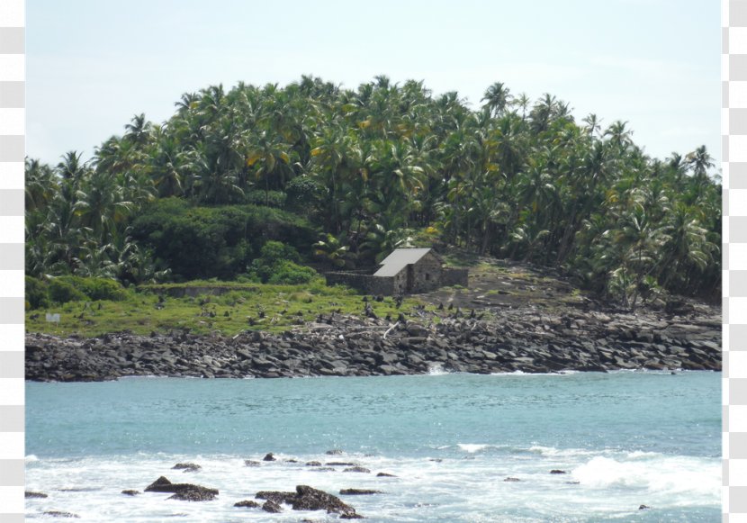 Devil's Island Bagne Saint-Joseph Saint-Laurent-du-Maroni - Archipelago Transparent PNG