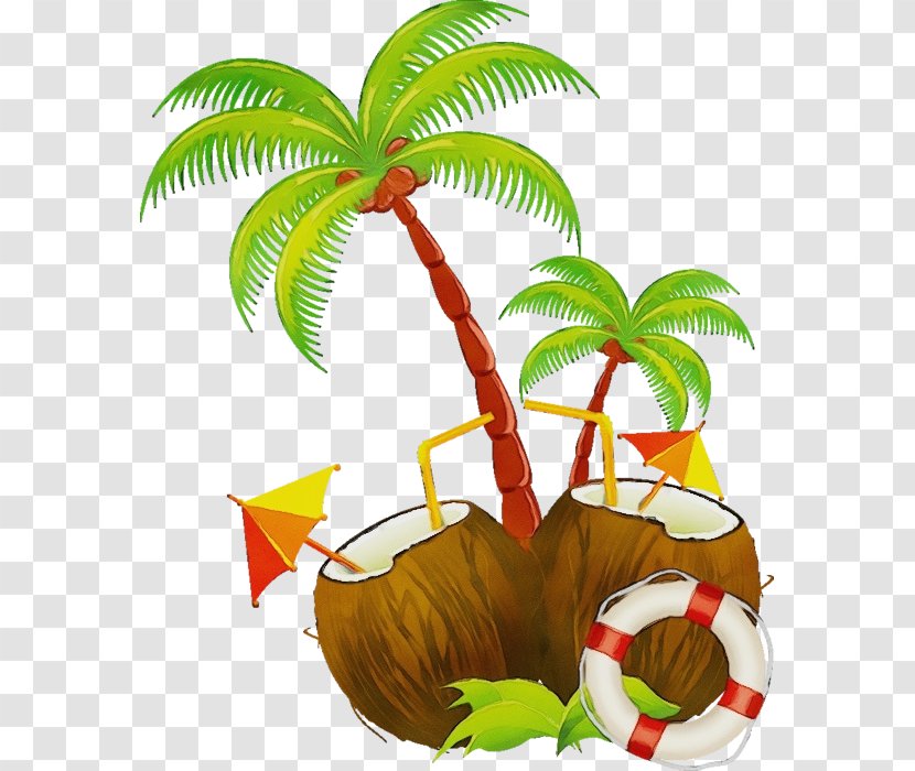 Coconut Tree Cartoon - Milk - Nepenthes Tropics Transparent PNG
