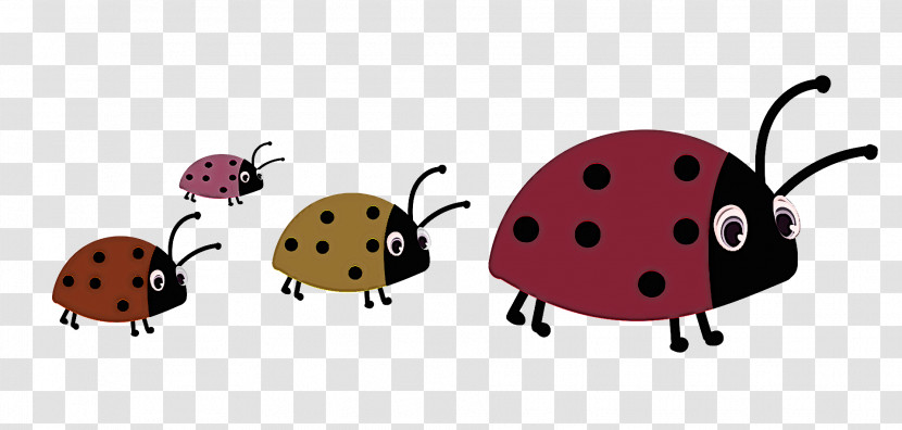Ladybird Beetle Beetles Ant Cartoon Drawing Transparent PNG
