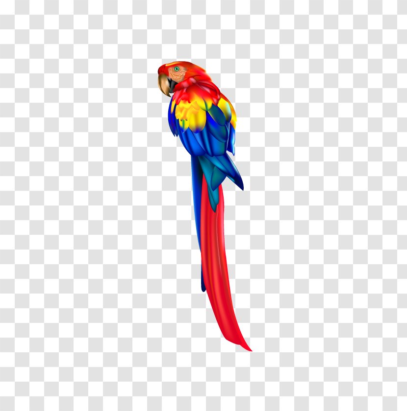 Parrot Bird Macaw Clip Art - Scarlet - Vector Transparent PNG