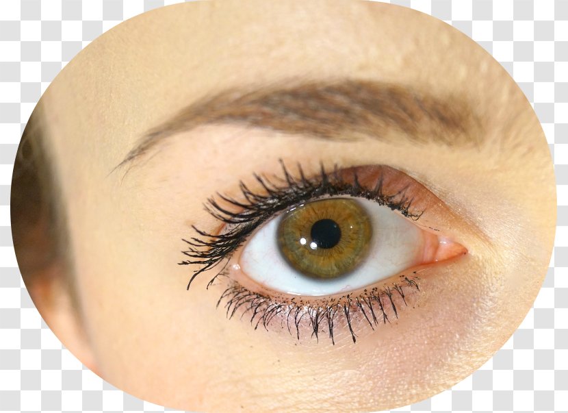 Eyelash Extensions Mascara Close Up GmbH Eye Liner - Silhouette - Longer Eyelashes Transparent PNG