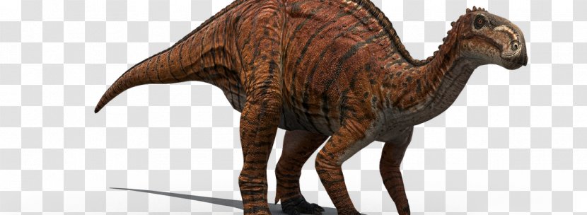 Velociraptor Extinction Animal - Pet Living Museum Transparent PNG