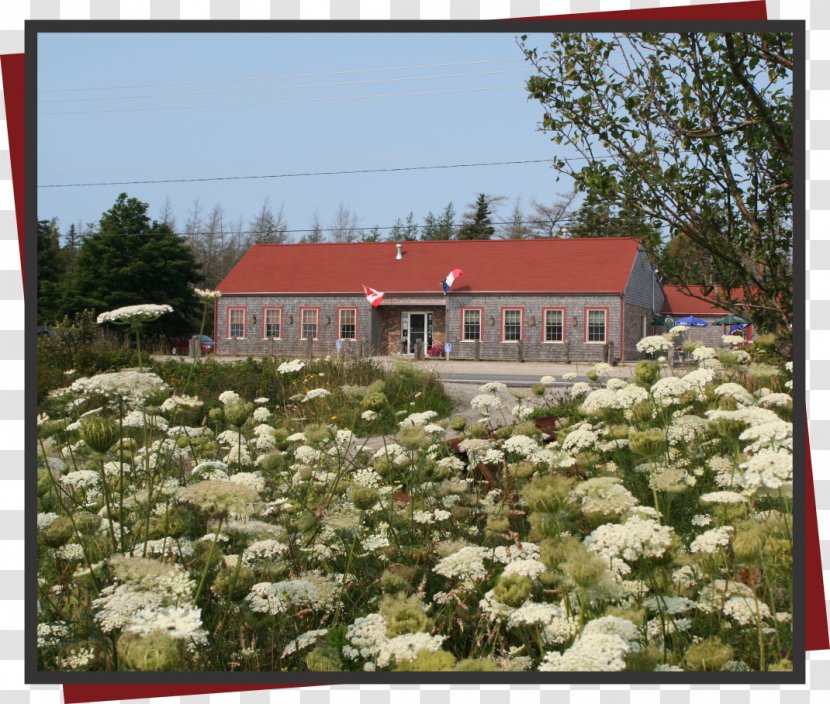 Property Tree Flower Shrub Meter - Plantation - Restaurant Building Transparent PNG