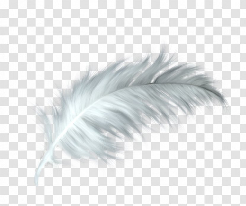 White Feather Healing Quill Paris - Reiki Transparent PNG