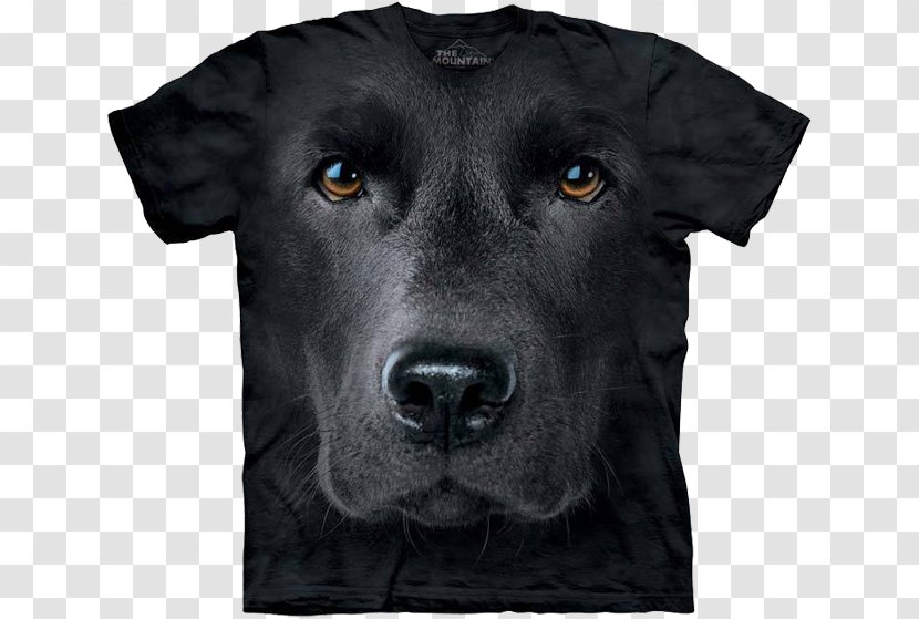 Long-sleeved T-shirt Labrador Retriever Clothing - Longsleeved Tshirt Transparent PNG