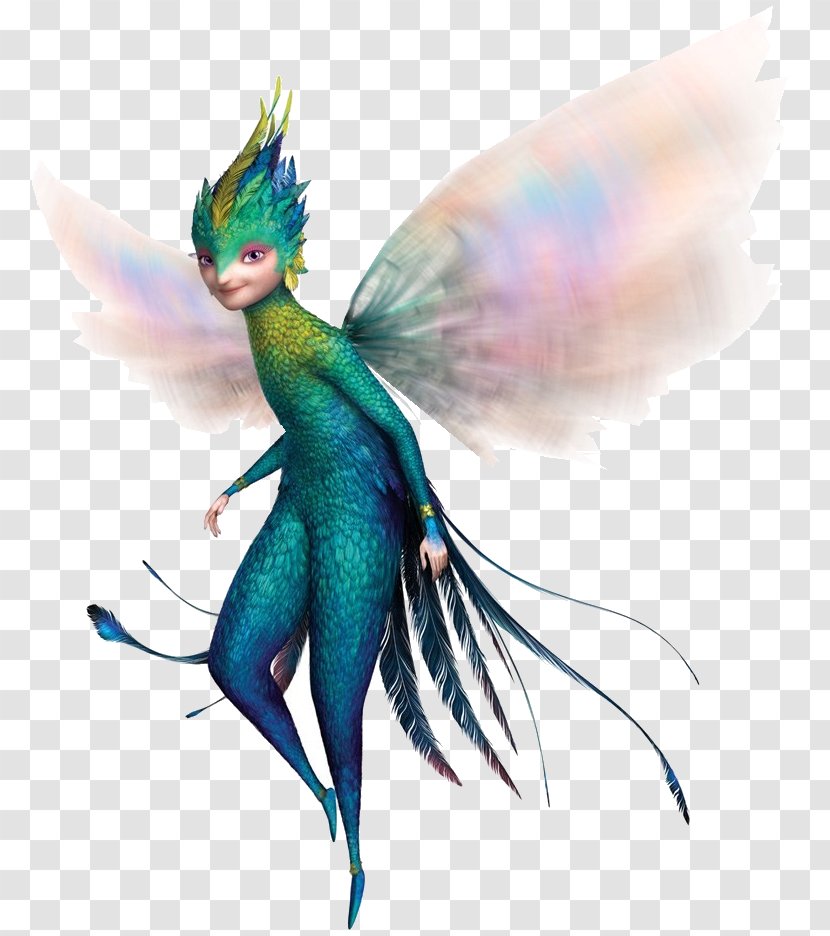 Angelet De Les Dents Jack Frost Toothiana: Queen Of The Tooth Fairy Armies Bunnymund DreamWorks Animation - Dreamworks Transparent PNG