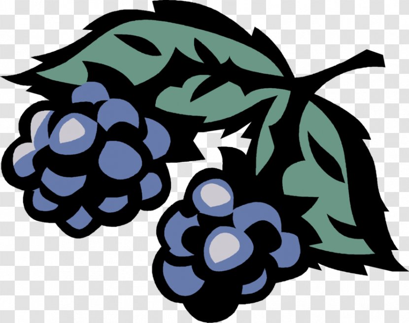 Grape Berries Clip Art Illustration Email Transparent PNG