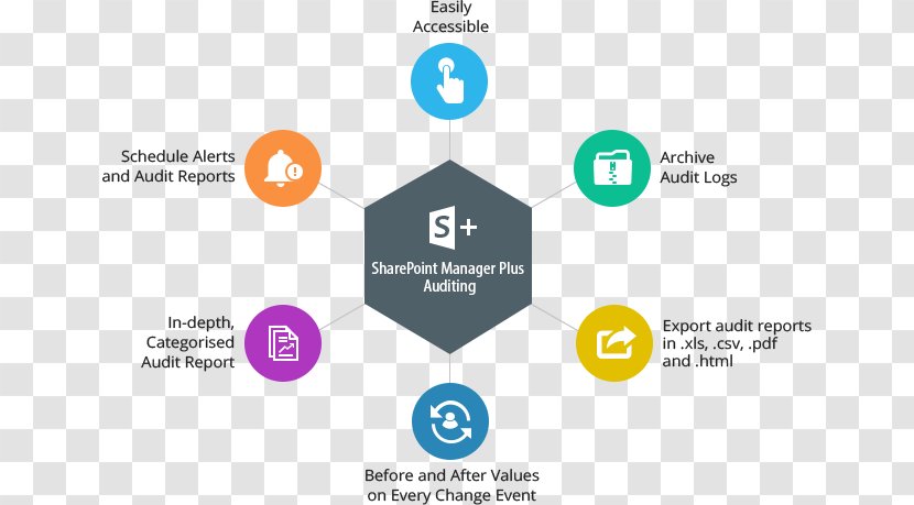 Microsoft SharePoint Designer Information Communication Office 365 - Report - Share Via Transparent PNG