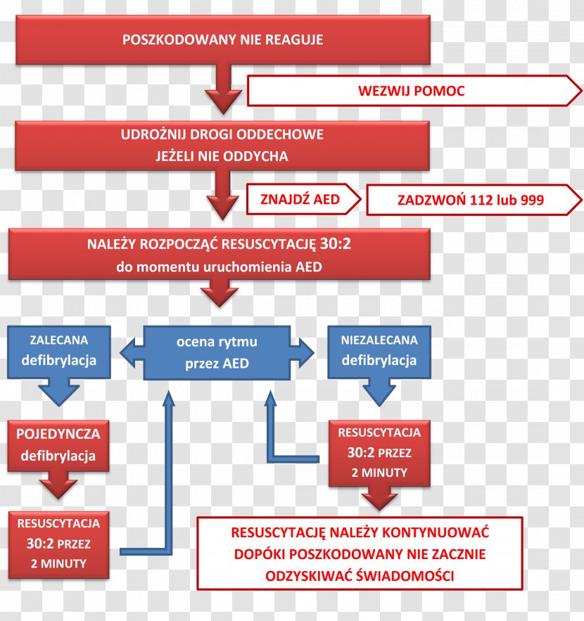 Automated External Defibrillators Defibrillation Cardiopulmonary Resuscitation First Aid Supplies - Algorithm - Dirham Transparent PNG