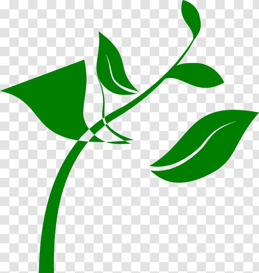 Seedling Plant Clip Art - Green Transparent PNG