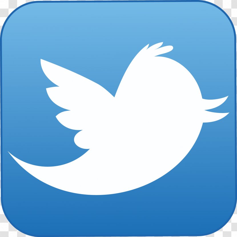Icon Logo - Water Bird - Twitter Transparent PNG