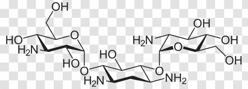 Kanamycin A Logo Writing Calligraphy Sulfate - Cartoon - Silhouette Transparent PNG