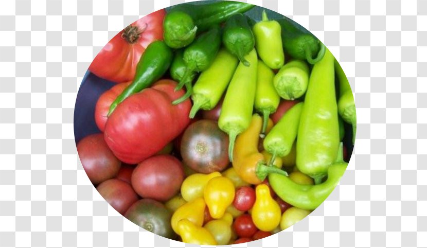 Habanero Serrano Pepper Bird's Eye Chili Community Gardening Vegetarian Cuisine - Garden Transparent PNG