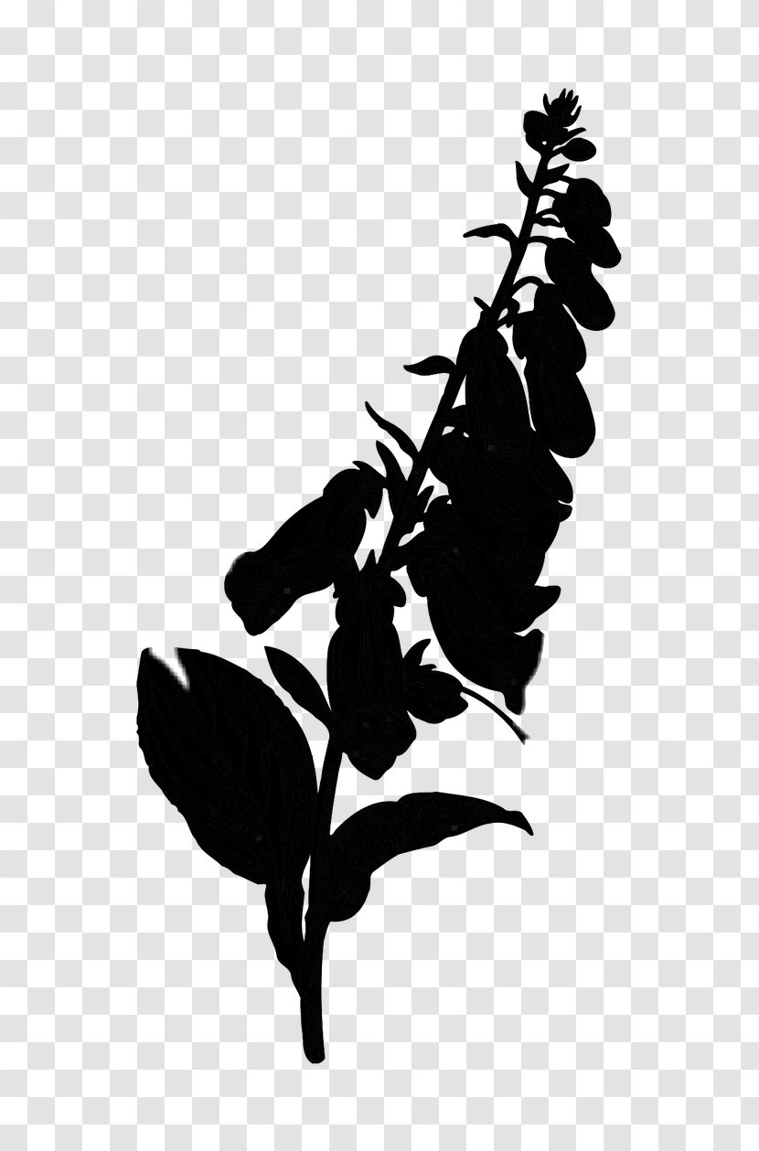 Silhouette Flower Leaf - Tree - Branch Transparent PNG