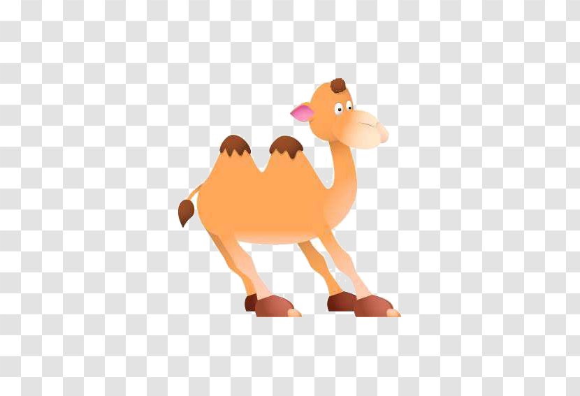 Bactrian Camel Cartoon Drawing Clip Art - Mammal Transparent PNG