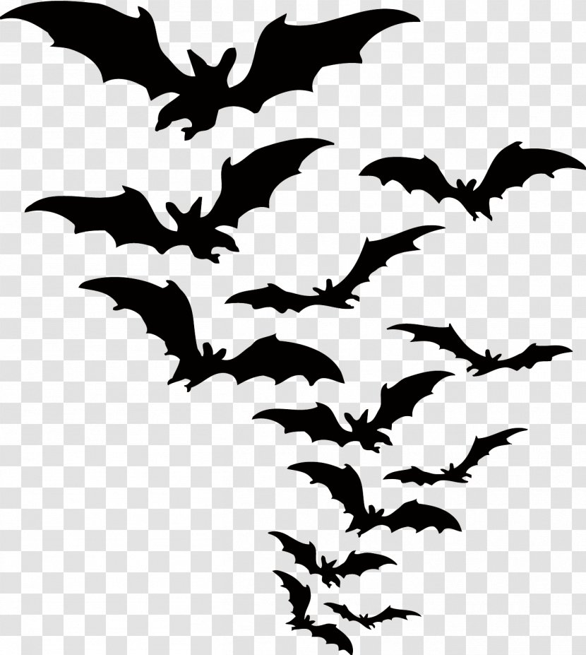 Bat Halloween Clip Art - Pollinator - Vector Transparent PNG