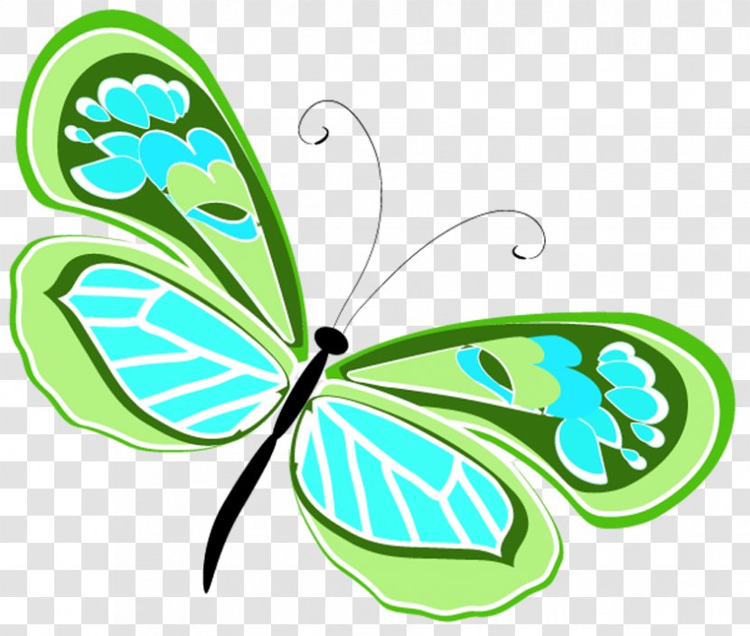 Monarch Butterfly Insect Vector Graphics Transparent PNG