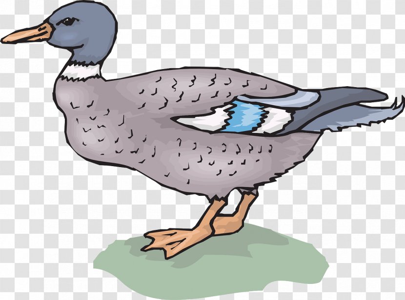 Mallard Duck Goose Clip Art - Waterfowl - Wandering Transparent PNG