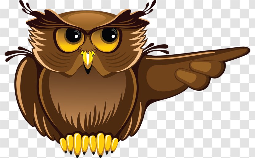 Owl Student Teacher Clip Art - Vertebrate - Cartoon Transparent PNG