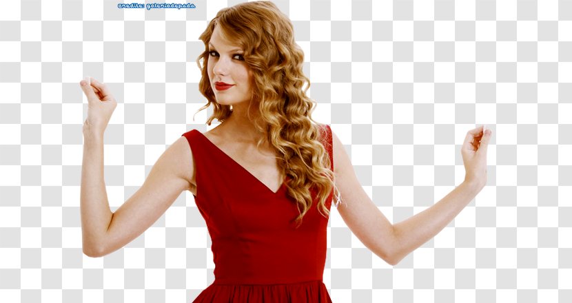 Taylor Swift The Red Tour Speak Now Song - Silhouette Transparent PNG