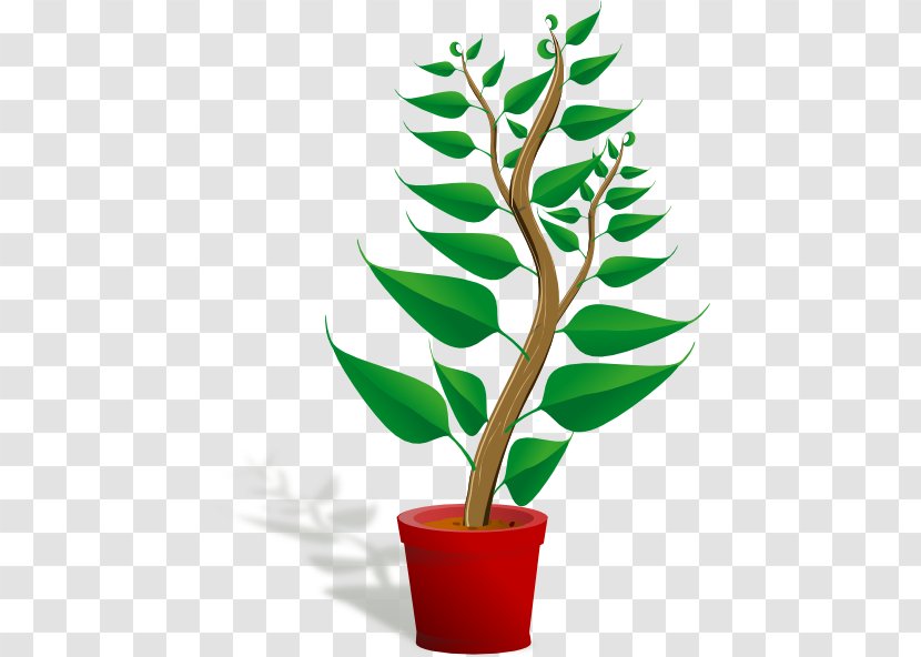 Plant Free Content Clip Art - Stockxchng - Cartoon Transparent PNG