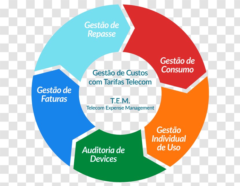 Systems Development Life Cycle Biological Software Product Lifecycle - Area - Business Transparent PNG