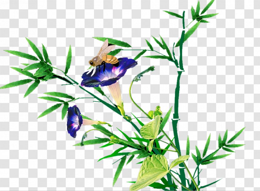 Floral Design Leaf Plant Stem Illustration - Flowering - Bamboo Transparent PNG