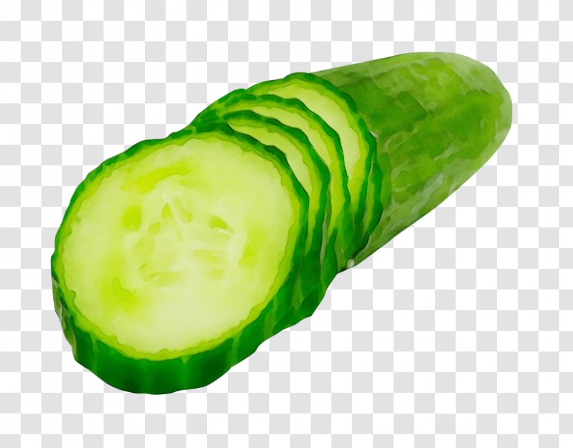 Vegetable Green Cucumber Plant Cucumis - Winter Melon Vegan Nutrition Transparent PNG