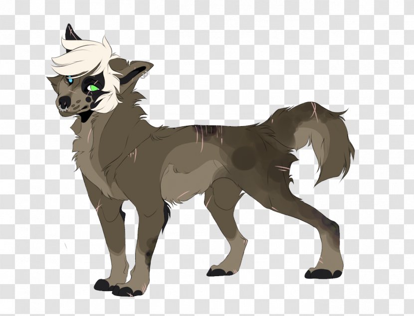 Wolfdog Horse Cat Canidae - Dog Transparent PNG