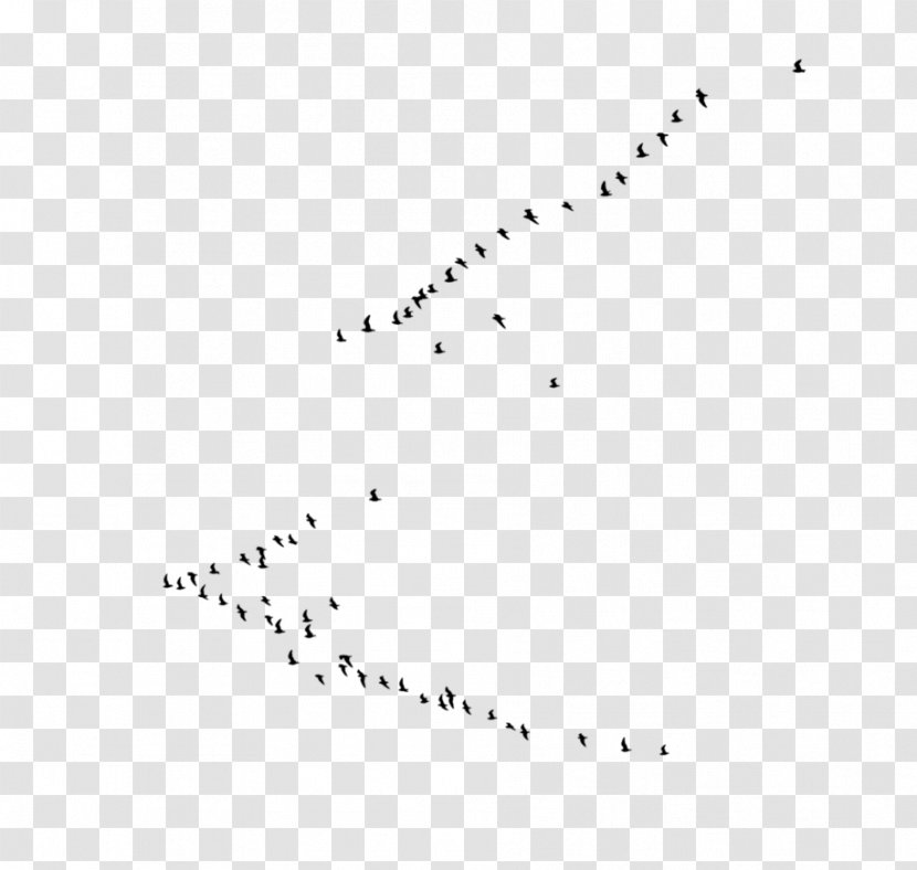 Bird Flock Clip Art - Sky Transparent PNG