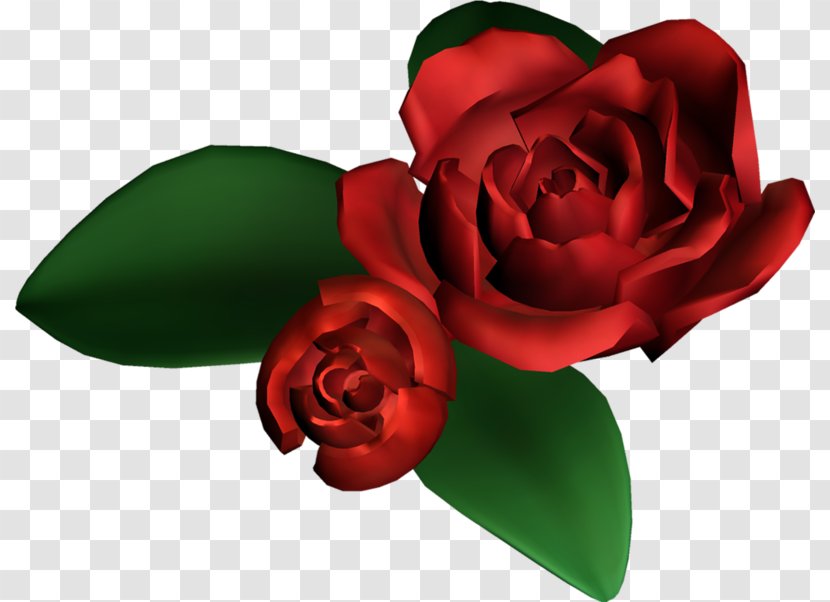 Garden Roses Cut Flowers Flower Bouquet - Assalamu Alaykum - Rose Download Transparent PNG