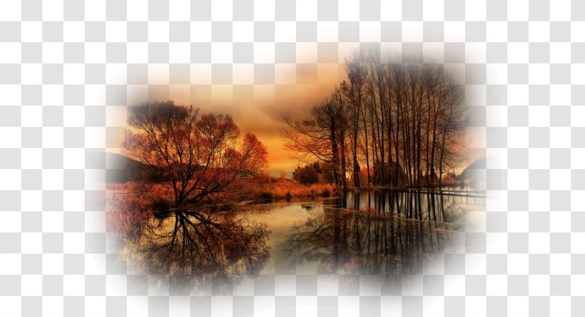 Autumn Puzzle Venice Block Mania 1010 تركيب صور الحيوانات - Tree - Paysage Transparent PNG