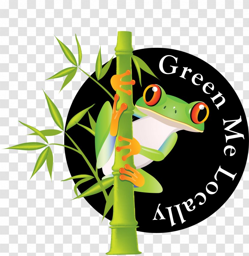 Logo Business Tree Frog Florida Environmentally Friendly - Amphibian Transparent PNG