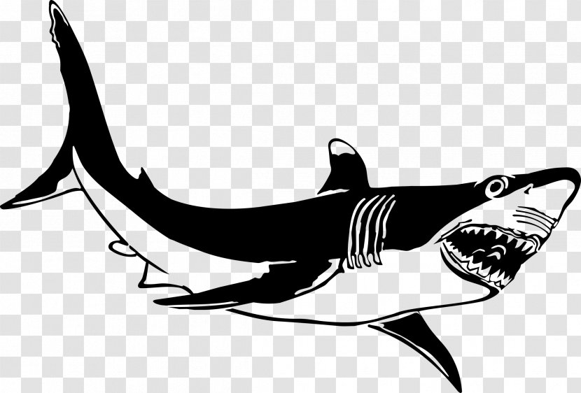 Great White Shark Lamniformes Clip Art - Black And - Sharks Transparent PNG