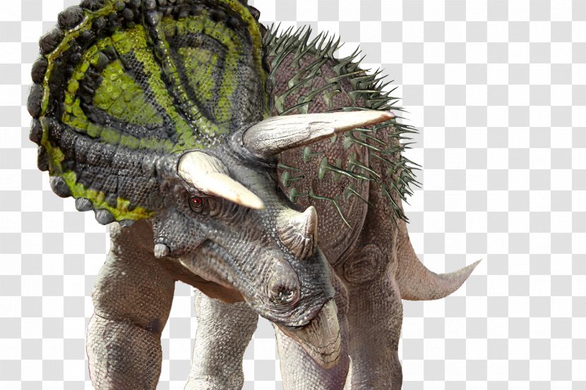 Tyrannosaurus Triceratops Dinosaur Velociraptor South Australian Museum - Revolution Transparent PNG